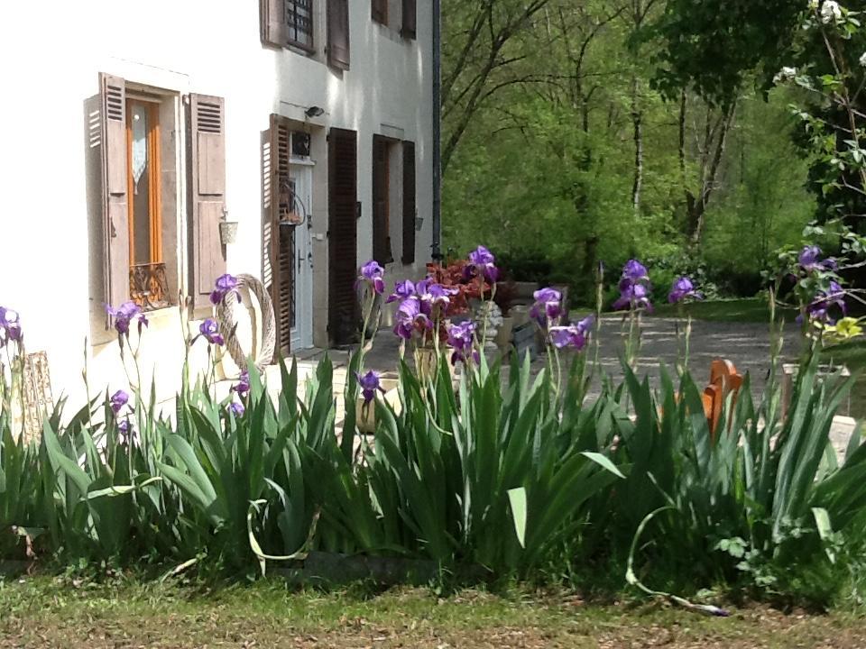Domaine La Rose Acomodação com café da manhã Caylus Exterior foto